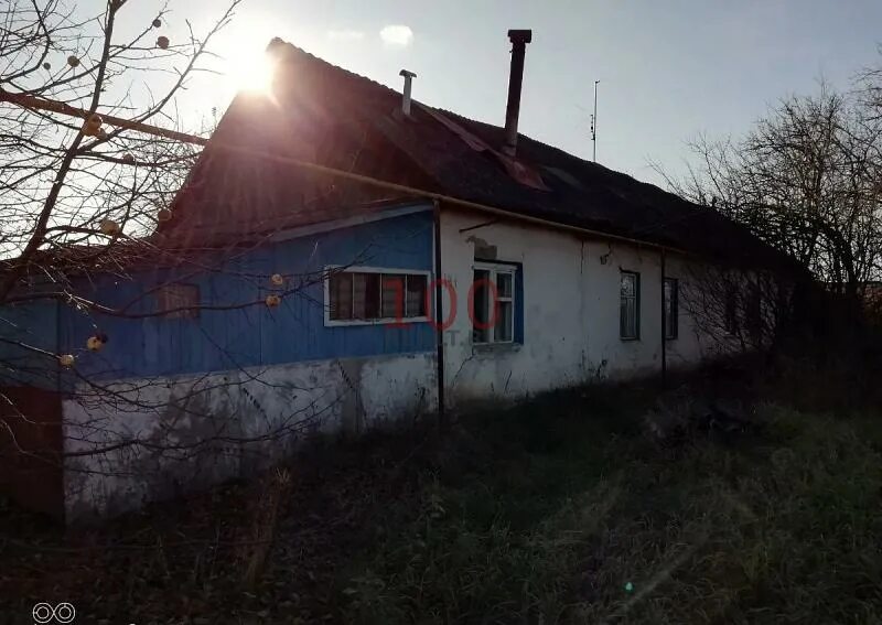 Поселок торбеево республика мордовия. Мордовия совхоз красное сельцо. Красный поселок мордовия. Красный поселок мордовия. Красный поселок мордовия.