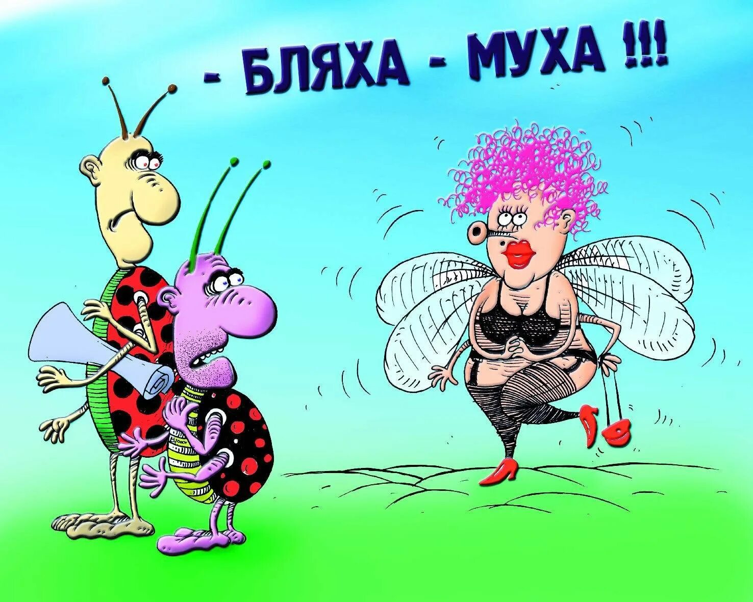 Бляха Муха. Муха прикольная. Бляха Муха на бляхе. Муха прикол.