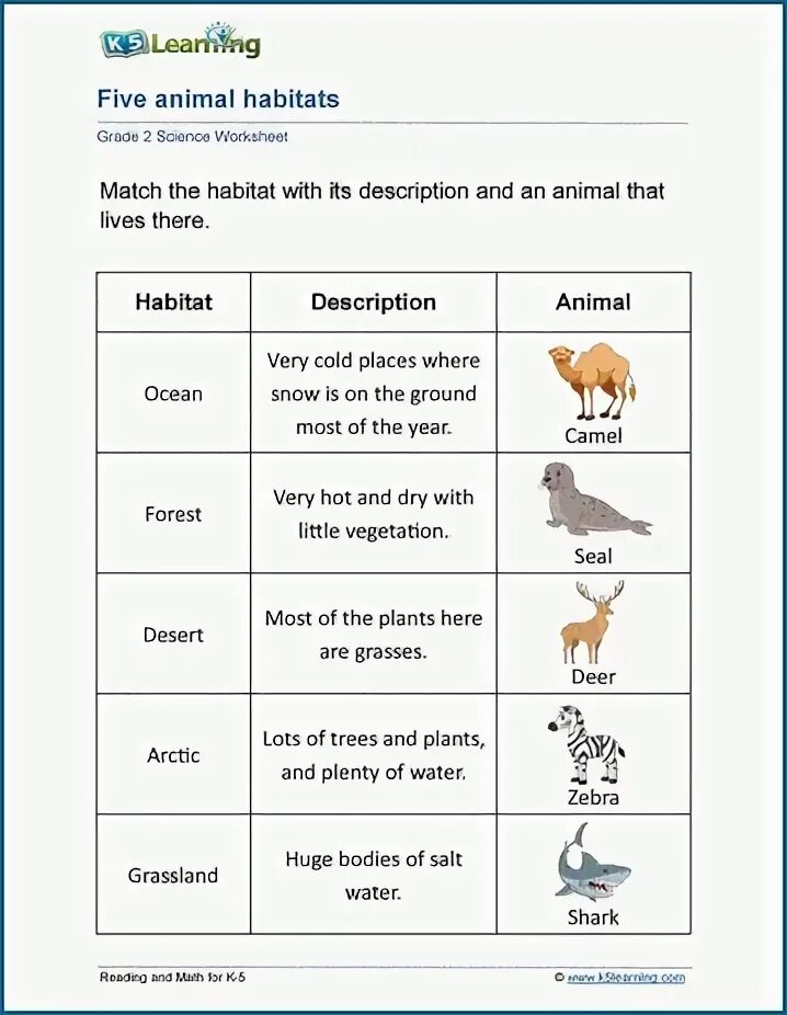 We should animals habitats