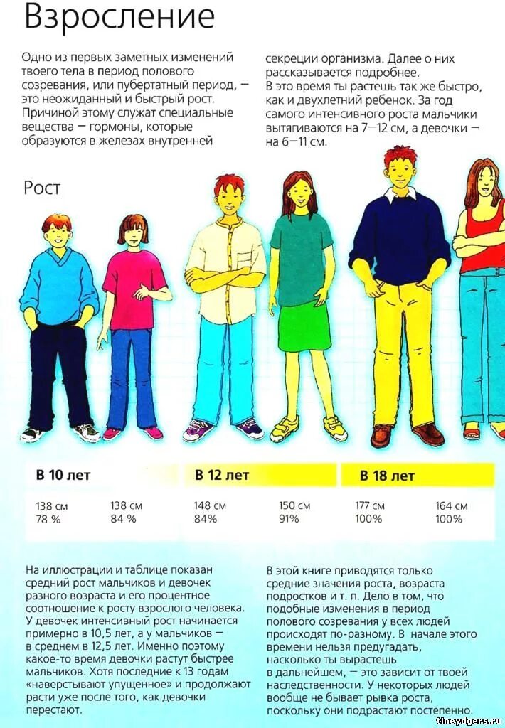 До скольки человек подросток. Какой Возраст у подростков. \ Возраст взросления мальчиков. Подростки разных возрастов по росту. Этапы взросления мальчиков по возрасту.