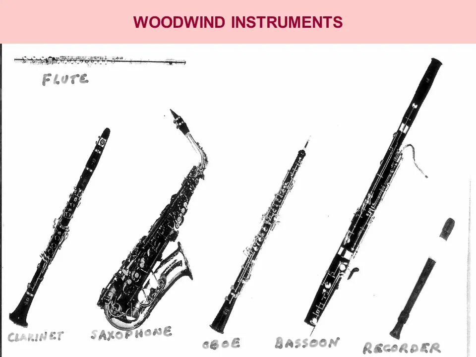 Как называются длинные инструменты. Reed woodwind. деревянные духовые музыкальные инструменты. музыкальные инструменты woodwind. длинный музыкальный инструмент.