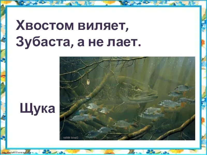 Щука хвостом вильнула. Случай с евсейкой 2. Продолжение сказки евсейка. Кого встретил евсейка на морском дне ответ. Горький м.
