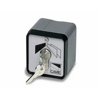 Came key
