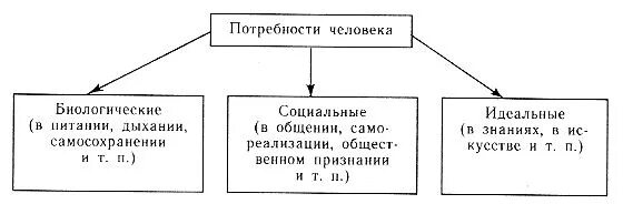 Потребности человека биология. Схема потребности человека. Структурно логическая схема потребности человека. Биологические потребности схема. Схема потребности человека Обществознание.