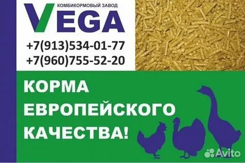 Комбикорм вега для бройлеров