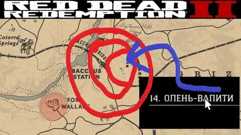 Рдр олень