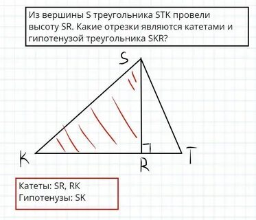Какой отрезок является высотой треугольника