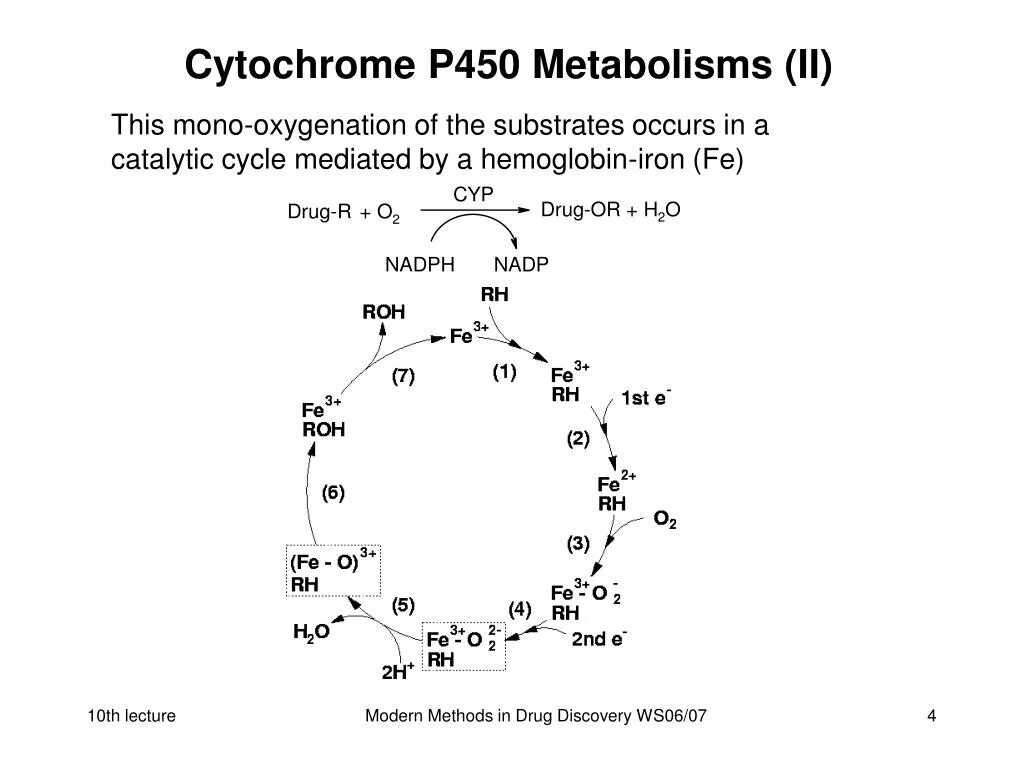 цитохром p450 субстрат. цитохром p450 дыхательная цепь. цитохром p450 строение. ферменты цитохром p450. система цитохром p450.