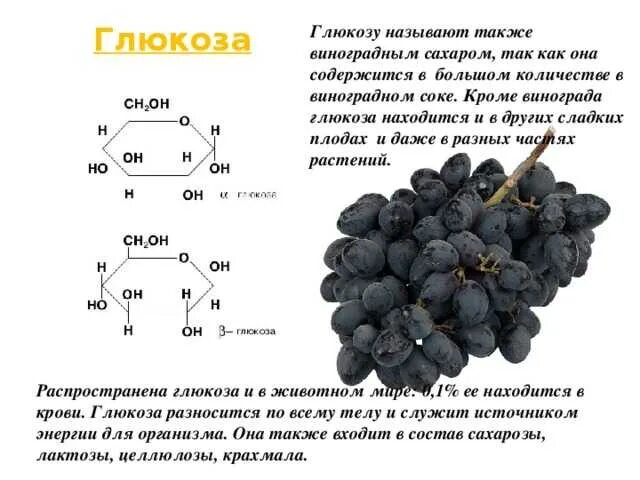 Сколько воды содержится в винограде. Сахара в винограде. Количество сахара в винограде. Содержится ли сахар в винограде. Сахаристость винограда в граммах.