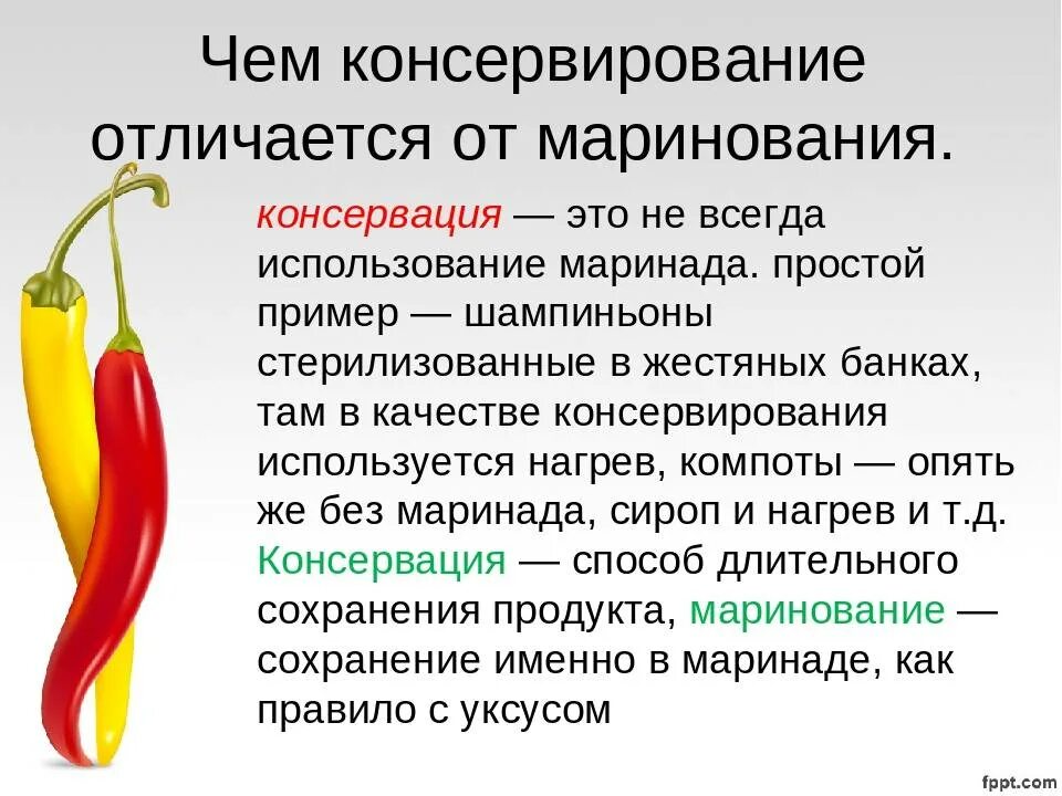 Технология консервирования плодов и овощей. Консервирование презентация. Презентация консервированных овощей. Виды заготовки продуктов.