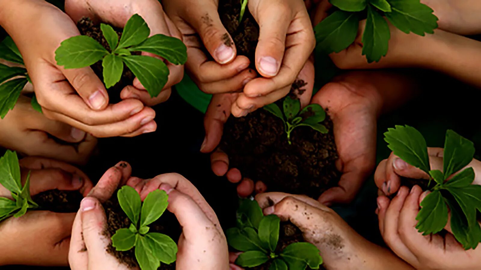 Sharing the environment