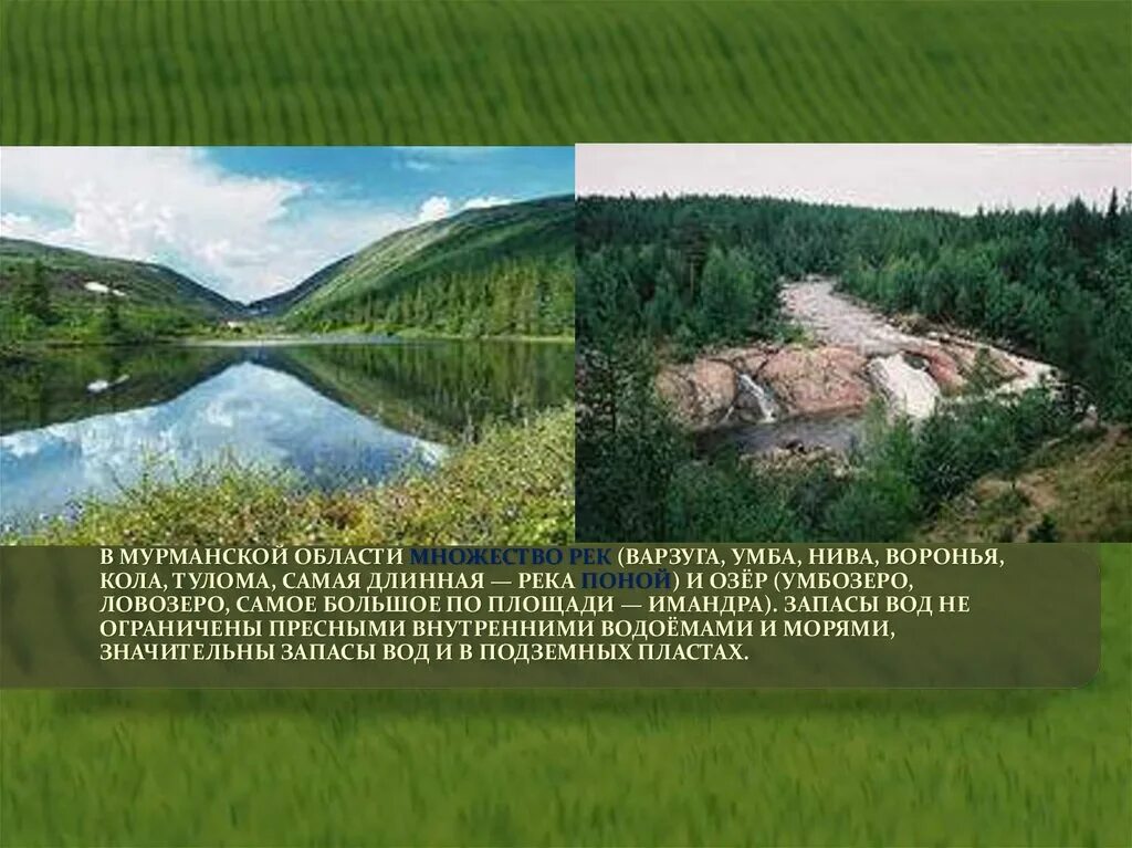 Река кола презентация. Реки Мурманской области. Самые крупные реки Мурманской области. Растения реки кола. Водные богатства мурманской области