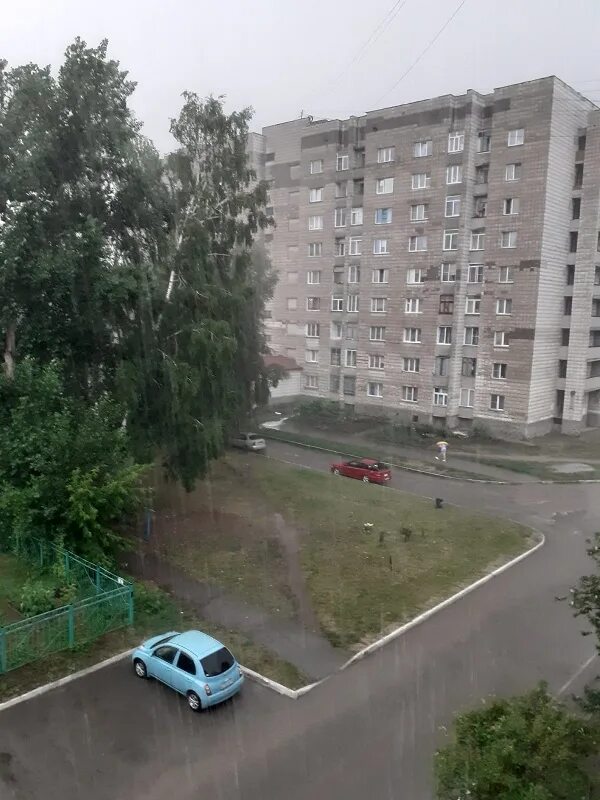 Погода бердск на 14 дней точный. Бердск транспорт. Дождь в Бердске. Бердск фото города.