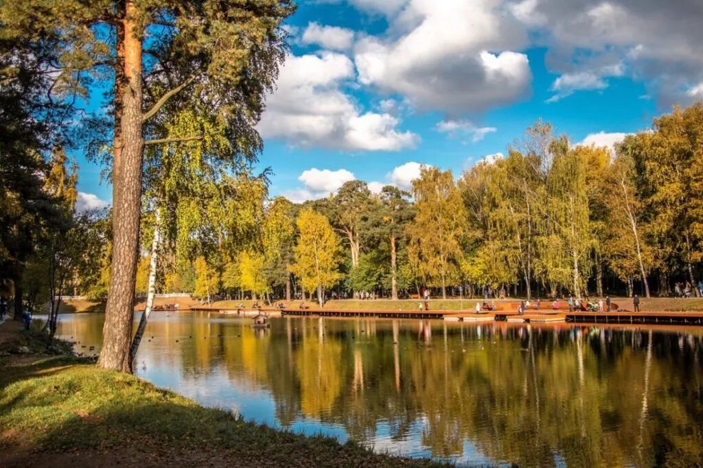 Парк Ивановские пруды Красногорск. Парк Зоркий Красногорск. Парки Красногорска Ивановские пруды. ПКИО Ивановские пруды.