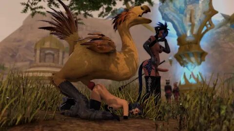 au ra, chocobo, hyur, final fantasy xiv, ffxiv, vuwu u.