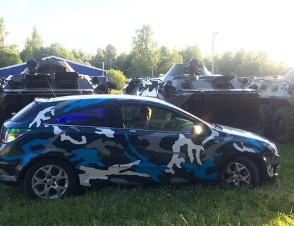 Автомобиль муха