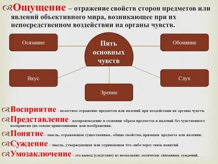 Отражение внешних качеств предмета