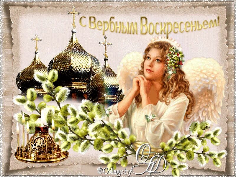 С вербным воскресеньем красивые картинки гифки. С вербным воскресеньем. с вербным воскресеньем открытки. поздравить с вербным воскресеньем. вербное воскресенье картинки.