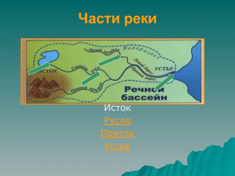 Исток Устье русло. Части реки схема. Части реки русло. 5 Частей реки. 12 части рек