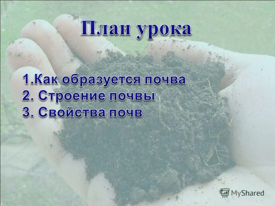 Формирование и свойства почвы 8 класс. Почва презентация. Призмовидная структура почвы. Формирование и свойства почвы 8 класс. Презентация по теме почва.