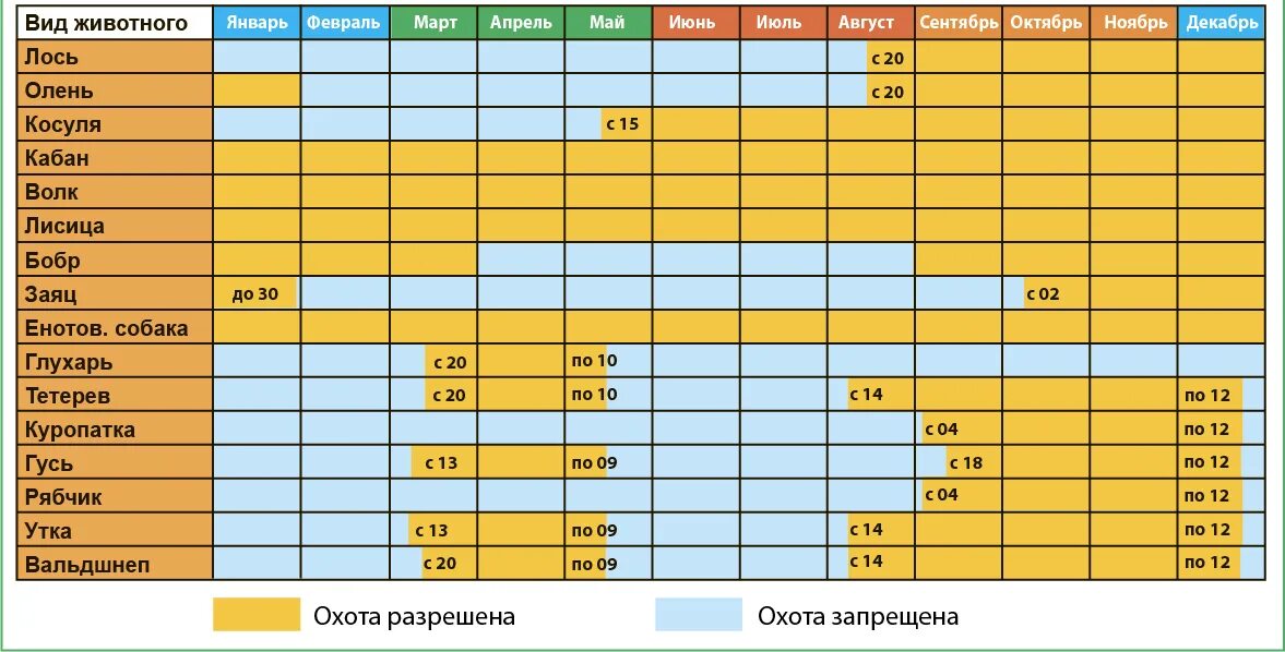 Сроки охоты новгородская область 2024. Календарь охотника. Сроки охоты. Сроки открытия охоты 2021. Сроки охоты на животных.