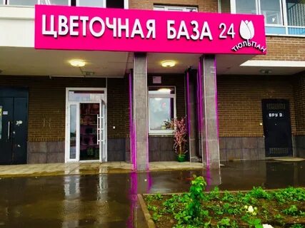 Цветы люберцы
