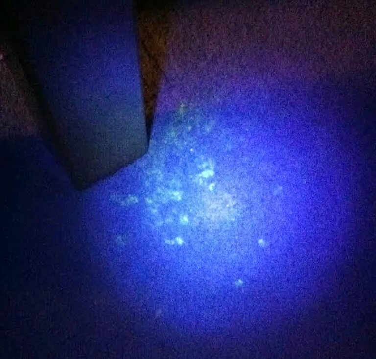 Свечение крови. Светильник ультрафиолетового света black light 400. Следы в ультрафиолете. Линии блашко в ультрафиолете. Бумага в ультрафиолете.