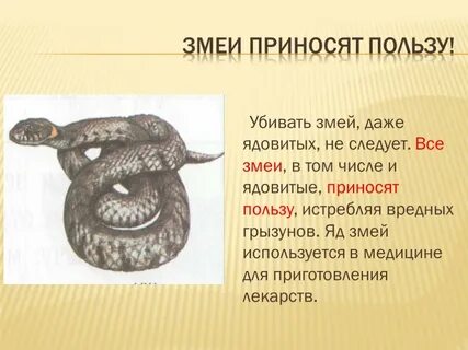 Повести о змеях