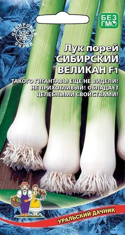 Лук великан описание. Чеснок алексеевский гигант. Эксибишен дабл гигант. Лук эксибишен семена. Лук сибирский великан f1.