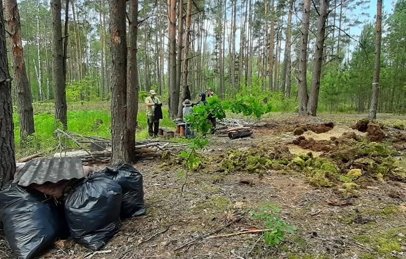 По прибытии на поляну мы разбили лагерь. Стоянка на болоте. Разбивание лагеря из подручных средств в лесу. Другие лагеря собирателей.