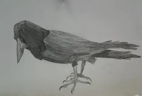 Рисунок грача 2 класс