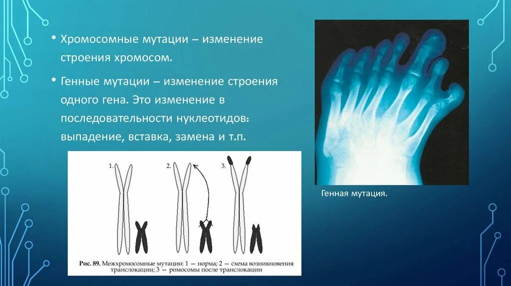 Изменение строения генов