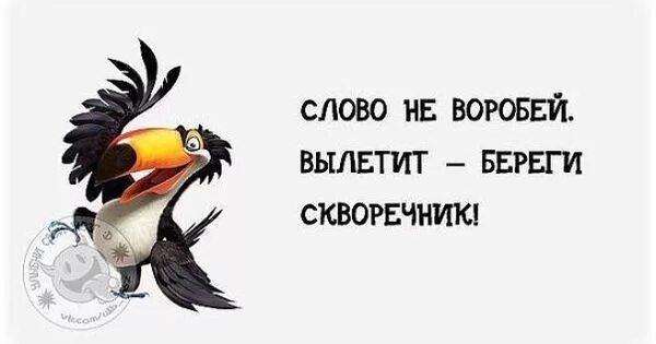 Слов не выкинешь пословица. Слово не Воробей. Слово не Воробей вылетит. Слово не Воробей прикол. Слово не Воробей вылетит береги скворечник.