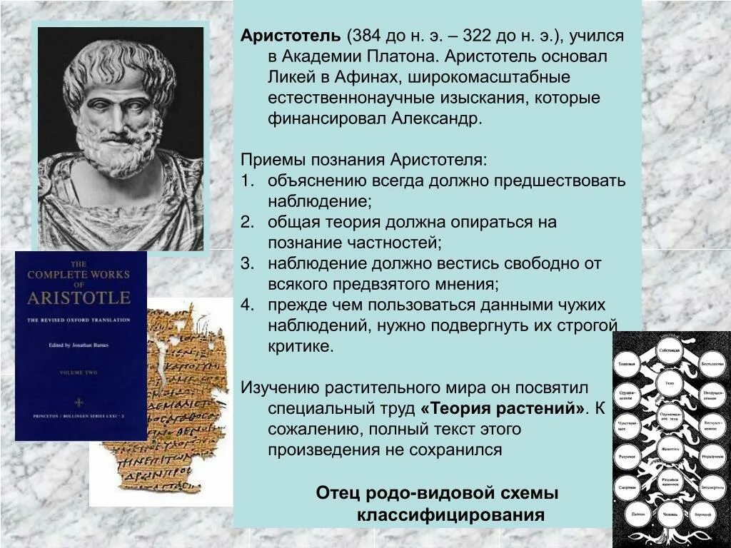 Аристотель поэтика содержание. Идея аристотеля 384-322. аристотель теория растений. естественнонаучные труды аристотеля. познание платона и аристотеля.