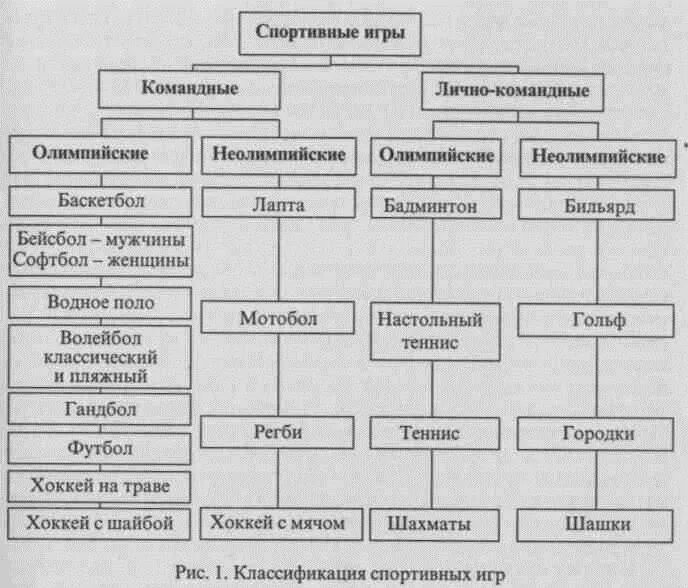 структура тренировки. классификация спортивных игр схема. классификация спортивных игр. классификация видов спорта. структура спортивно-оздоровительного лагеря.
