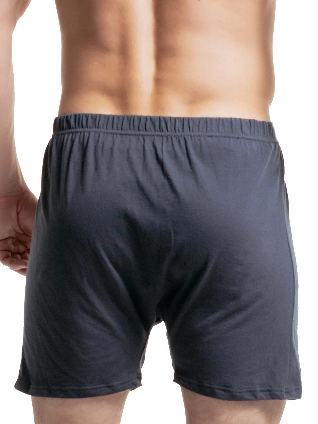 X boxer