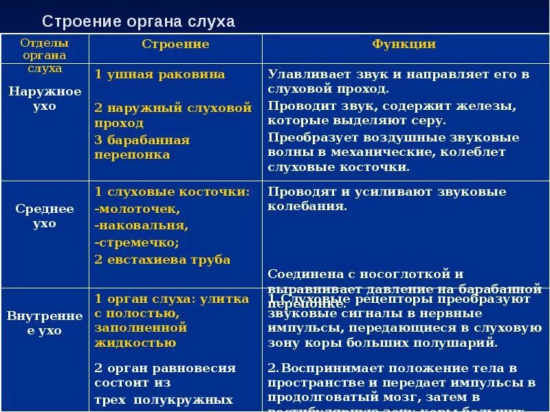 Таблица строение уха 8 класс биология