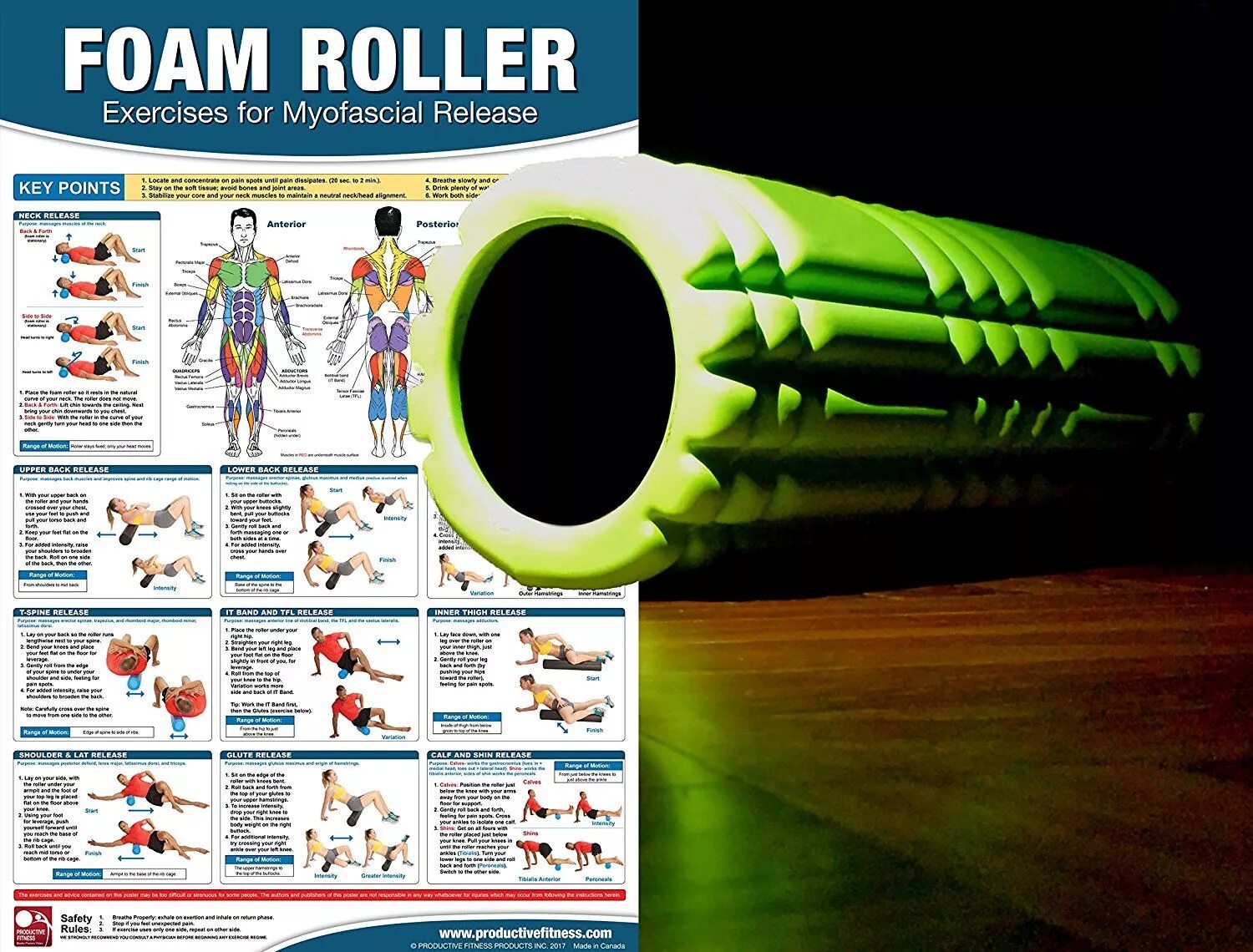 After roll. Myofascial release Roller. Foam Roller exercises. Плакат роллер. Physiotherapy poster.