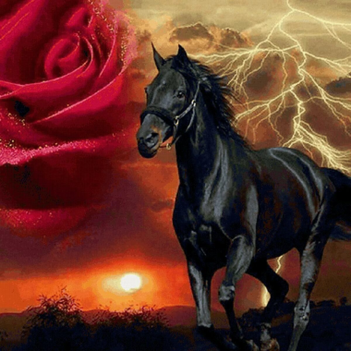 Черный конь. Очень красивые лошади. Красивые картины лошадей. Красивые лошади с цветами. Книга черный конь