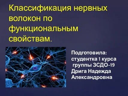 Основные типы нервных волокон