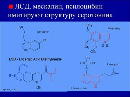 Имитирующий состав