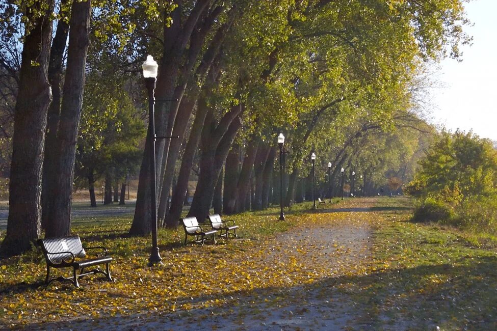 Осень в городе. Осенняя аллея. Осень. Город в листве. На улице сентябрь август.