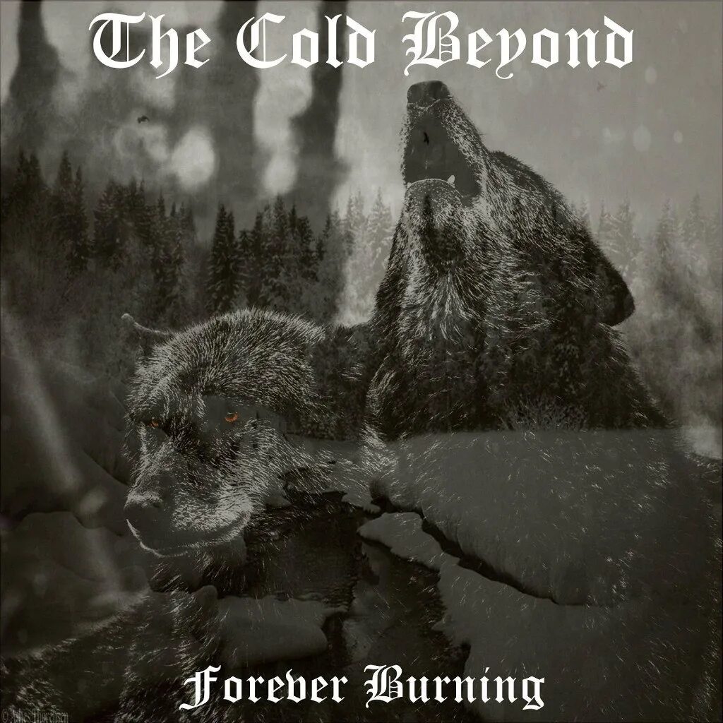 Clear cold beyond. The Cold Beyond. Forever will Burn. Beyond the Black Lost in Forever. Nothing Burns like the Cold обложка.