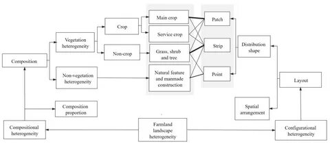 Associated types