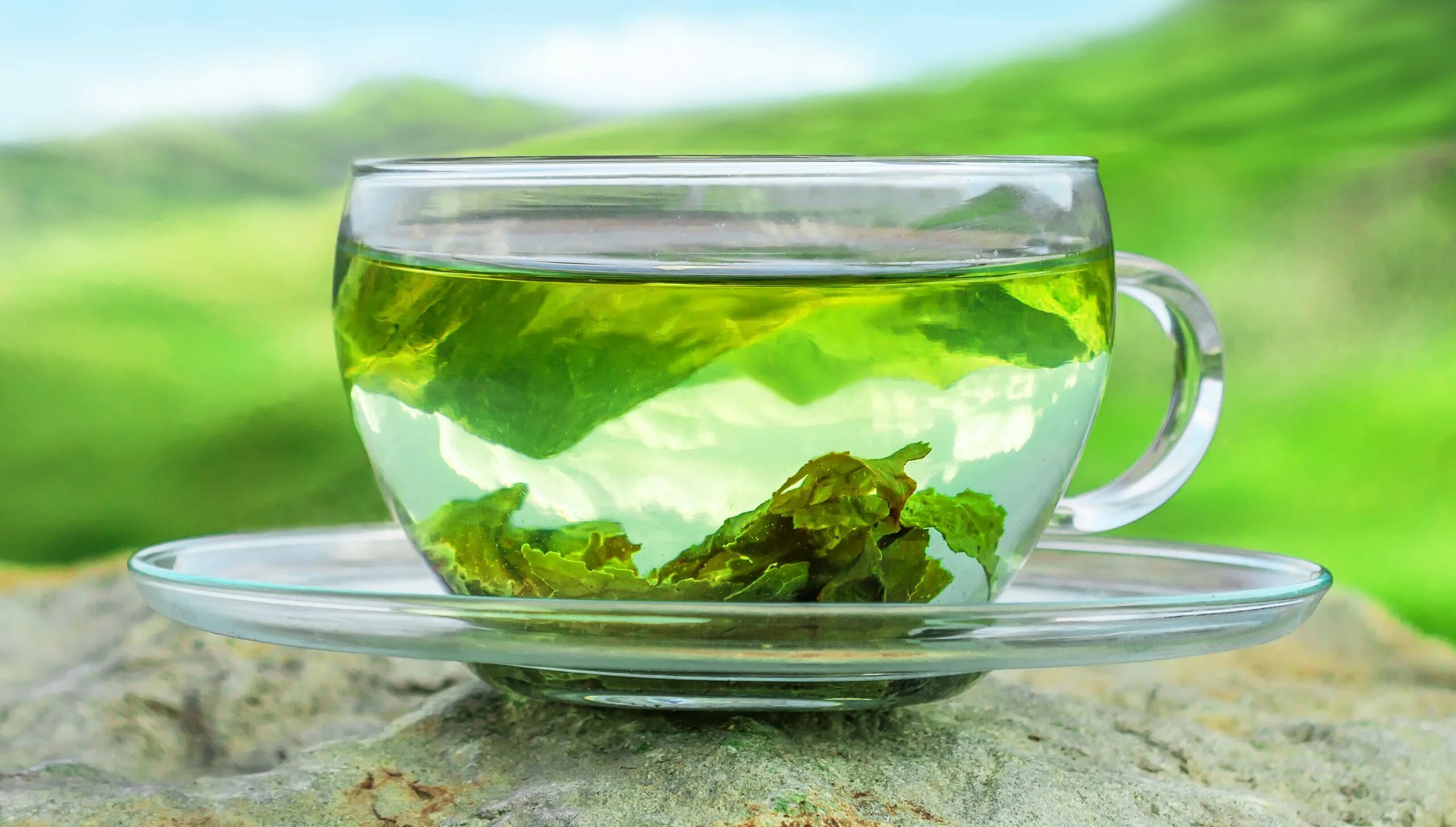 Зеленый расширяет. Зеленый чай Green Tea. Чашка зеленого чая. Чашка с зеленым чаем. Зеленый чай в кружке.