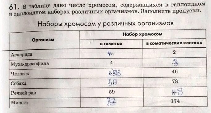 Число хромосом содержащихся в половых клетках. Наборы хромосом у различных организмов таблица. наборы хромосом у различных организмов. число хромосом в гаплоидном наборе. количество хромосом у разных организмов таблица.