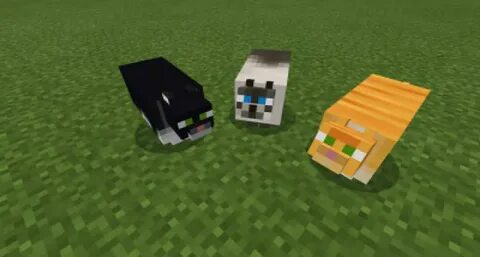 Copycats mod