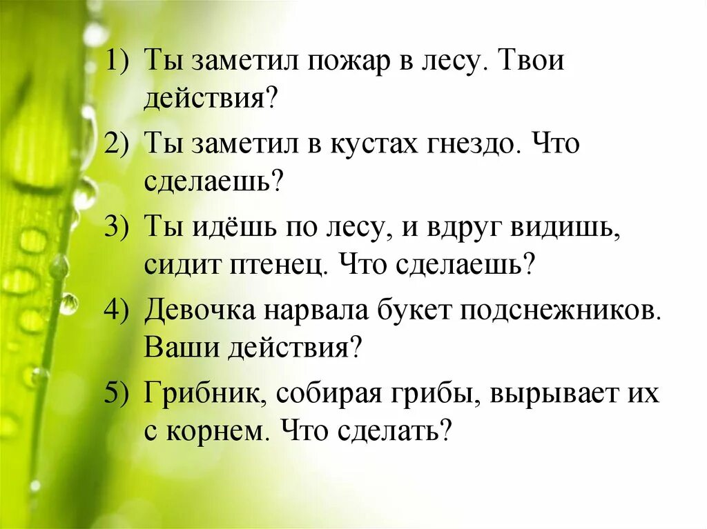 Твои действия. Идешь по лесу и видишь ее твои действия. Тест идешь по лесу и видишь. Ты видишь твои действия.