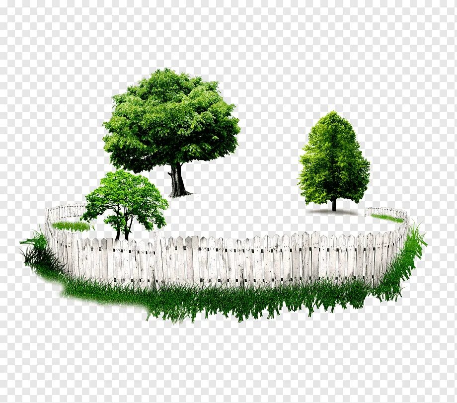 Сад пнг. Сад с забором вектор. Изгородь вектор. Сад деревья вектор. Забор дерево вектор.