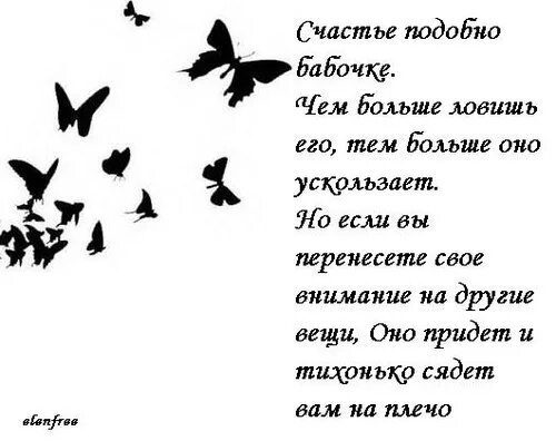 Счастливый похожие слова. Красивые цитаты про бабочек. Счастье подобно бабочке. Счастье подобно бабочке чем. Бабочки высказывания красивые.